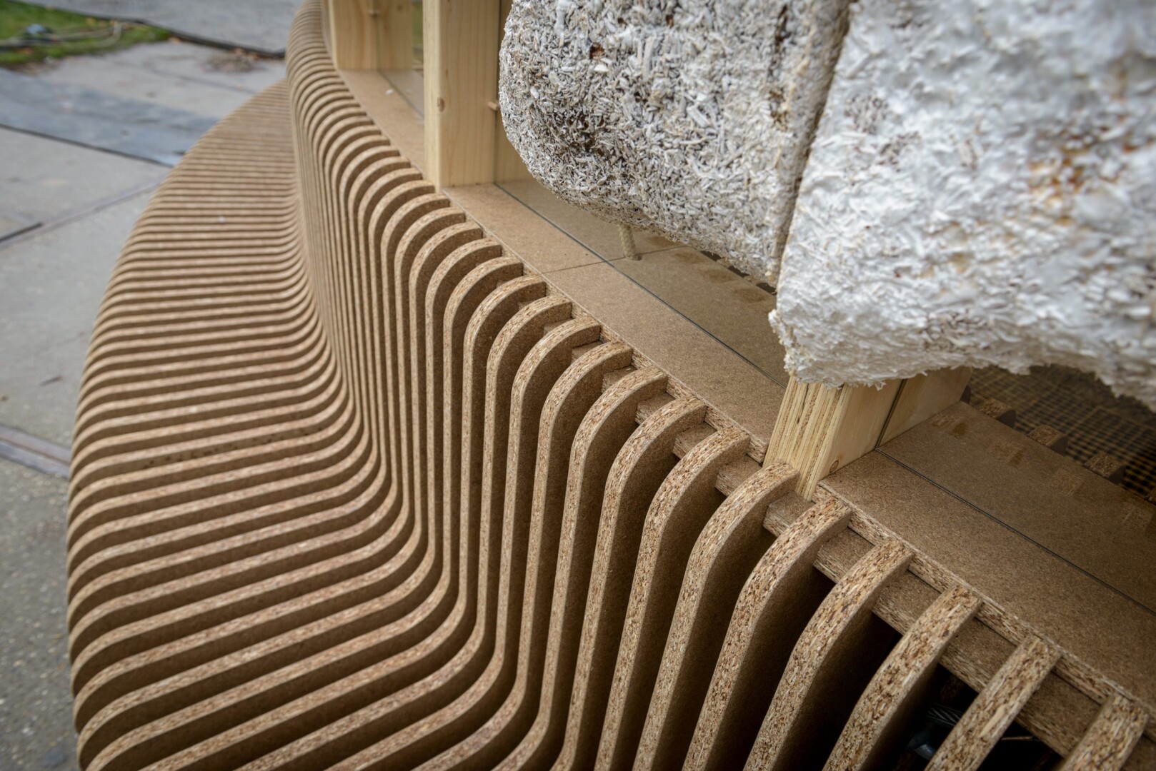 Fiction-DDW-GrowingPavilion_YW_DSC4939