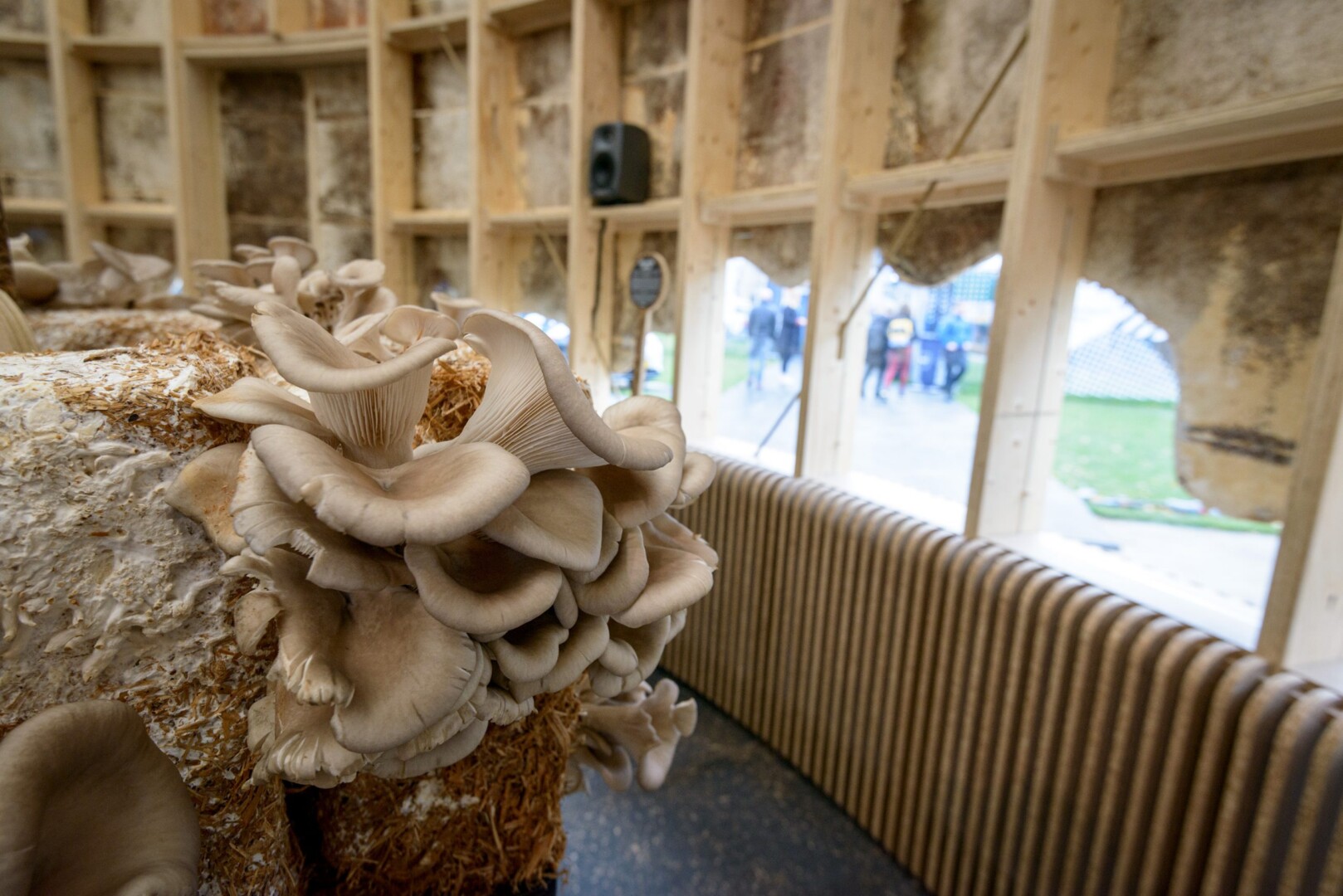 Fiction-DDW-GrowingPavilion_YW_DSC4960